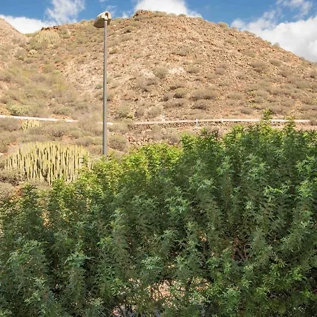 Two Bedroom In Mar! Free Parking! Pm109 *